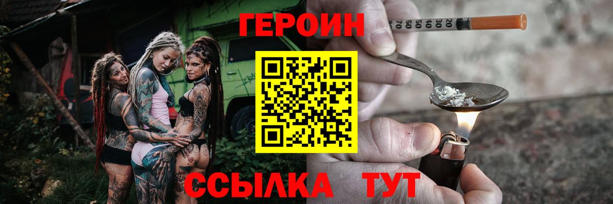 ГЕРОИН хмурый Горно-Алтайск