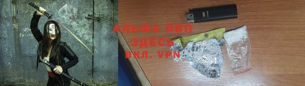 гашик Белокуриха