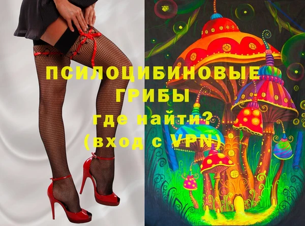 гашик Белокуриха