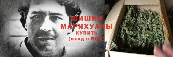 гашик Белокуриха