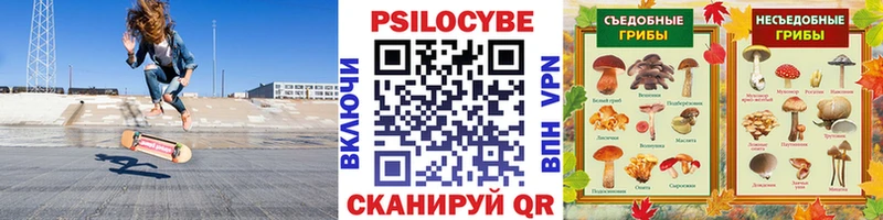 Псилоцибиновые грибы прущие грибы  Горно-Алтайск 