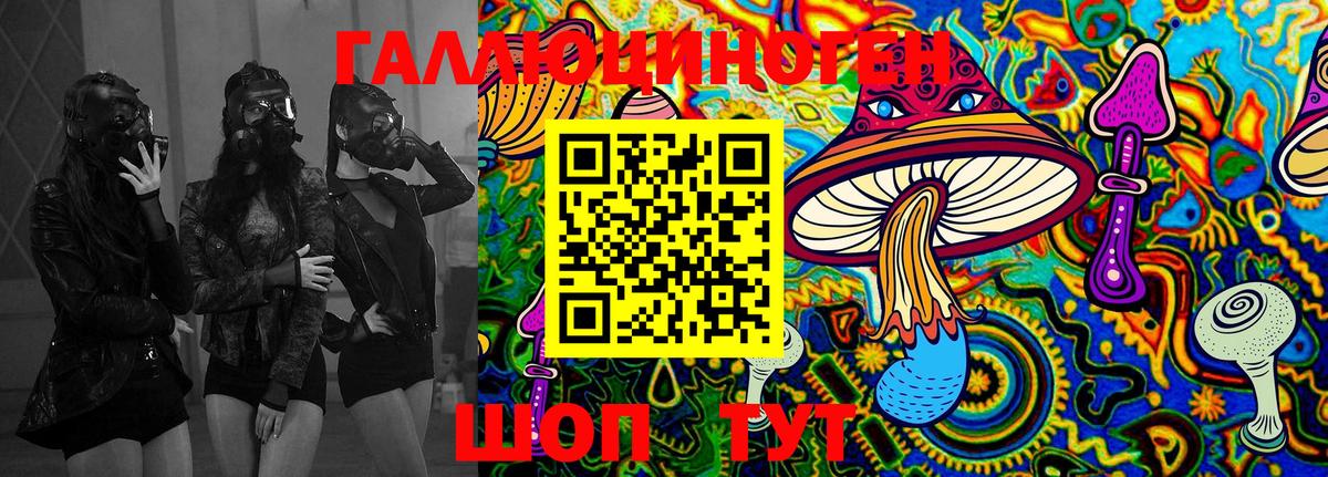 Горно-Алтайск  Галлюциногенные грибы мицелий  Вход с VPN 