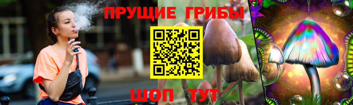 Горно-Алтайск  Псилоцибиновые грибы прущие грибы  Вход с VPN 